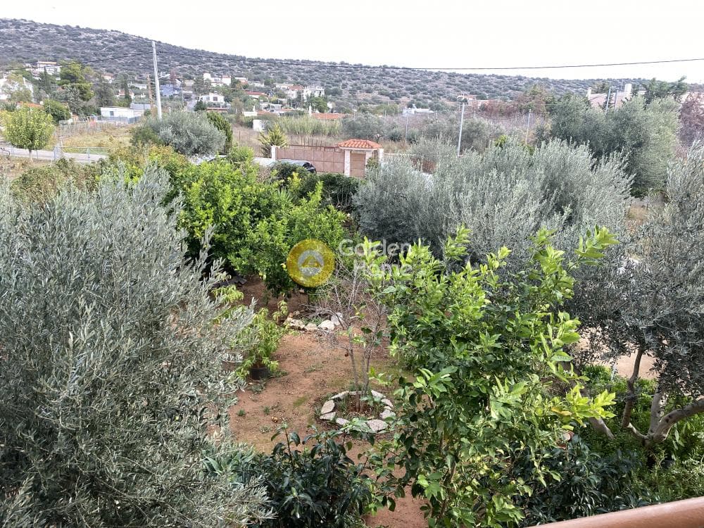 Μονοκατοικία στην Αγία Μαρίνα, Κορωπί — Φωτογραφία 2 από 17