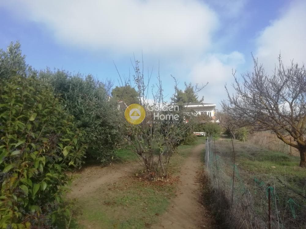 House in Kapandriti, Com. Kapandriti — Photo 11 of 25