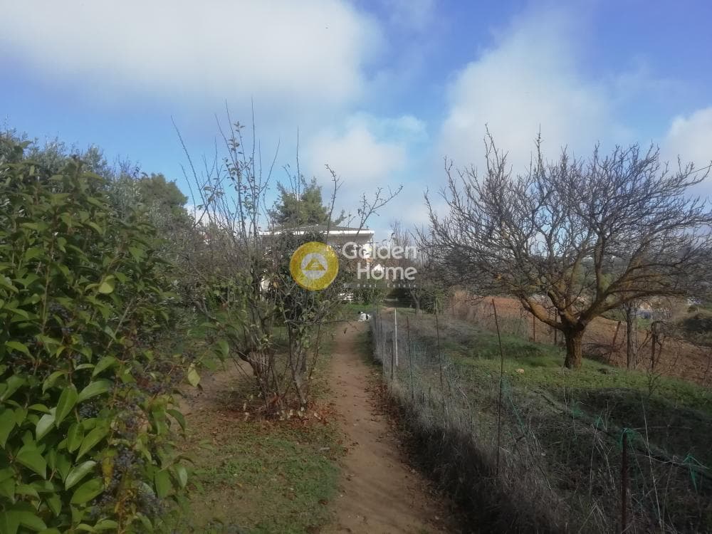 House in Kapandriti, Com. Kapandriti — Photo 15 of 25