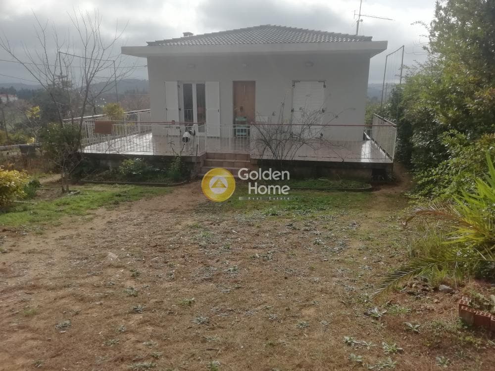 House in Kapandriti, Com. Kapandriti — Photo 25 of 25