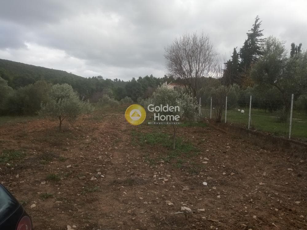 Parcel in Amigdaleza, Stamata — Photo 1 of 3
