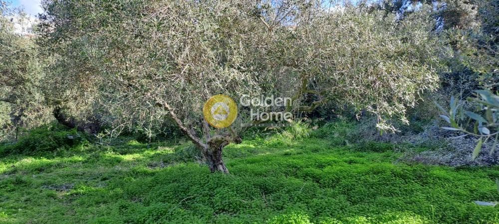Building Plot in Elia, Episkopi — Photo 2 of 4