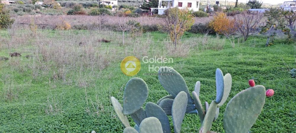 Building Plot in Elia, Episkopi