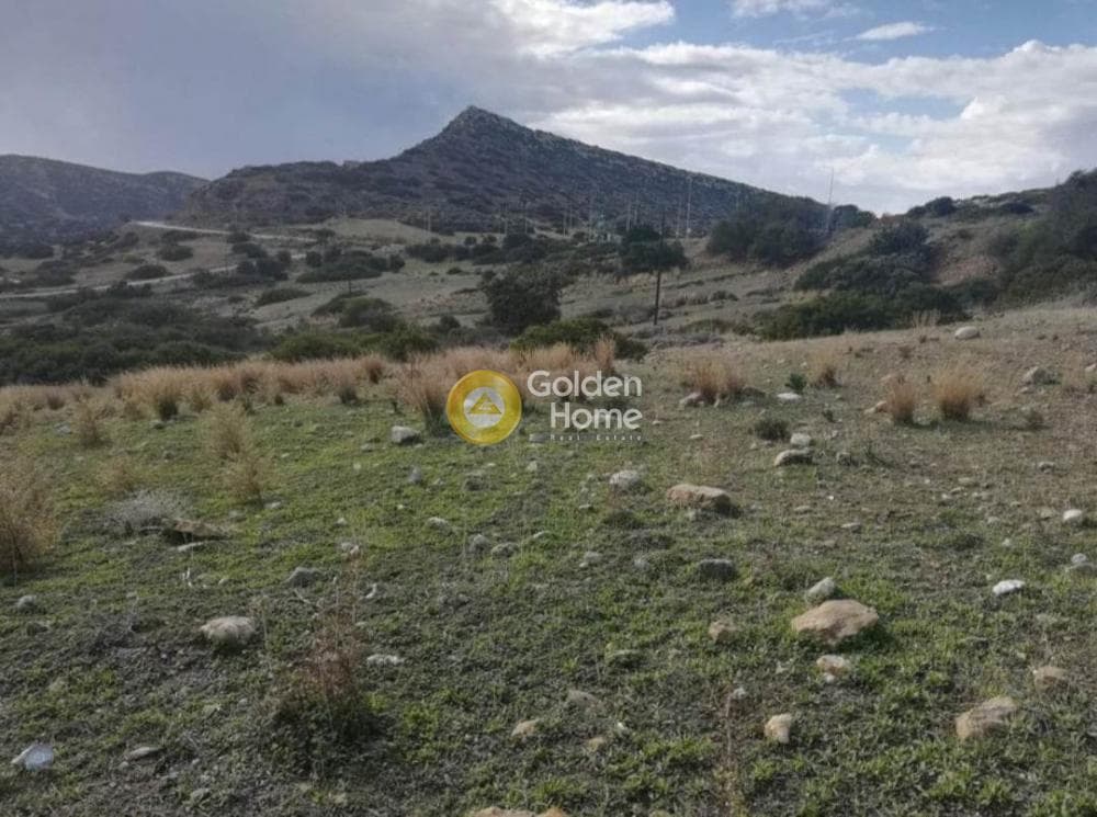 Οικόπεδο στην Μάταλα, Τυμπάκι — Φωτογραφία 2 από 2