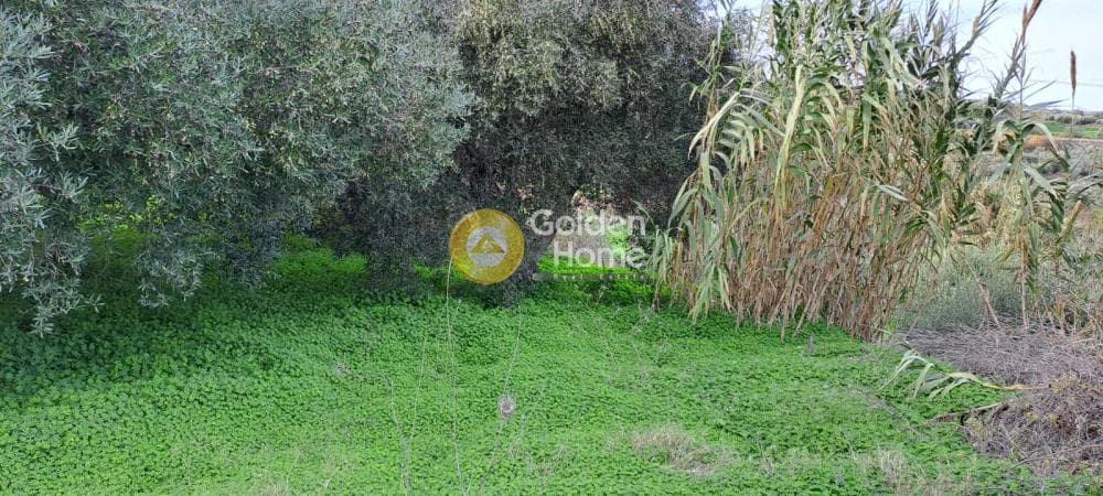 Building Plot in Mirtia, Episkopi — Photo 1 of 4