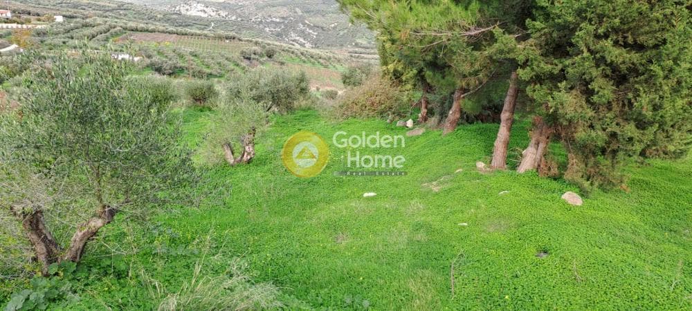 Building Plot in Mirtia, Episkopi — Photo 2 of 4