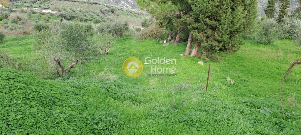 Building Plot in Mirtia, Episkopi — Photo 3 of 4