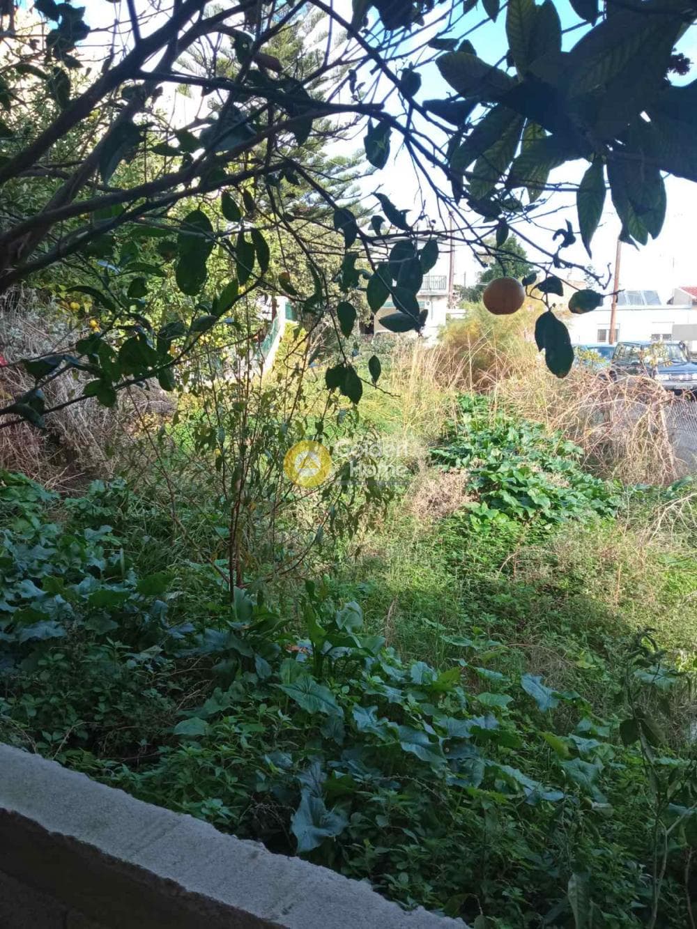 Οικόπεδο στην Μεσαμπελιές, Ηράκλειο Κρήτης — Φωτογραφία 2 από 2