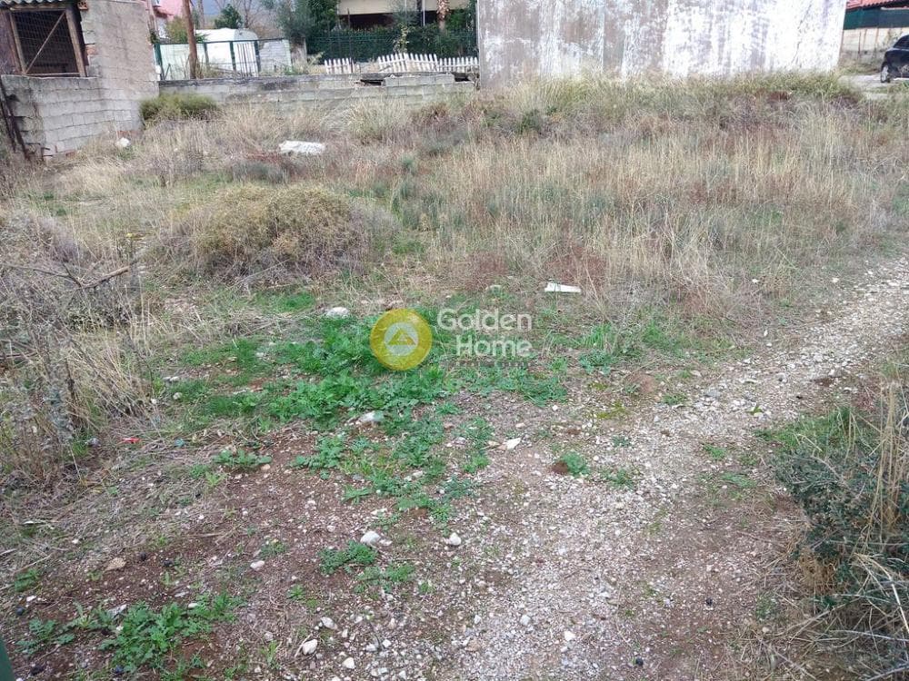 Οικόπεδο στην Μεγάλα Σχοινία Α, Αχαρνές — Φωτογραφία 3 από 10