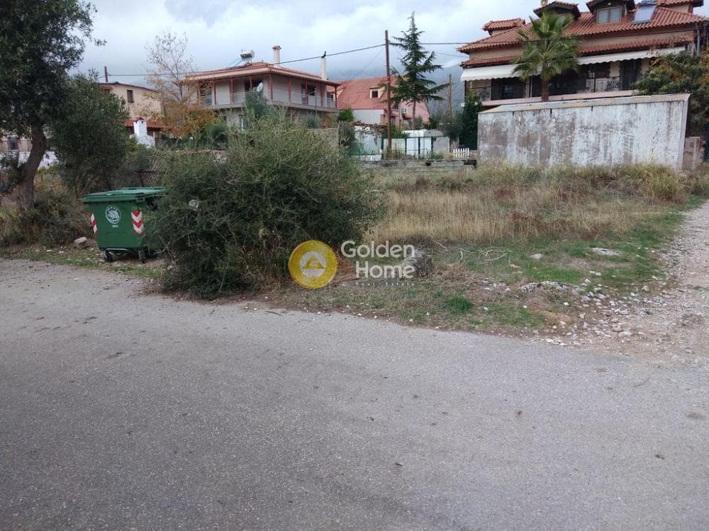 Οικόπεδο στην Μεγάλα Σχοινία Α, Αχαρνές — Φωτογραφία 6 από 10