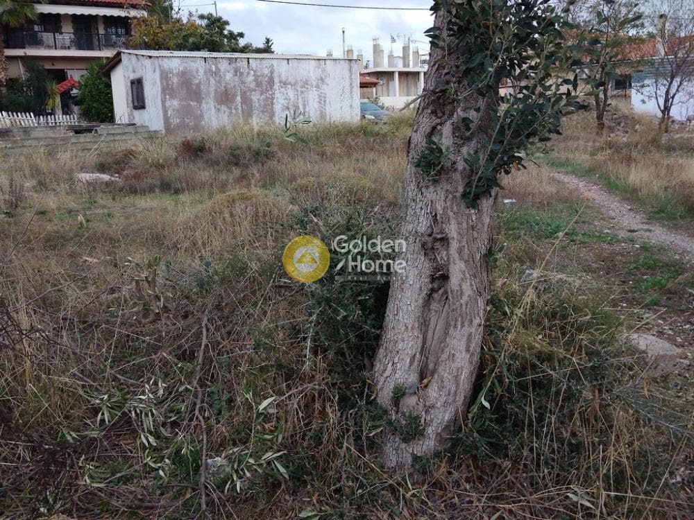 Οικόπεδο στην Μεγάλα Σχοινία Α, Αχαρνές — Φωτογραφία 5 από 10