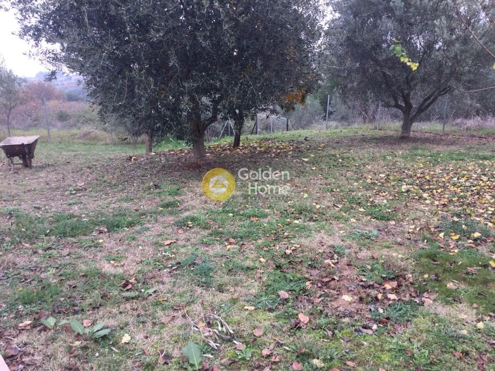 Μονοκατοικία στην Πλαγιάρι, Μίκρα — Φωτογραφία 5 από 18