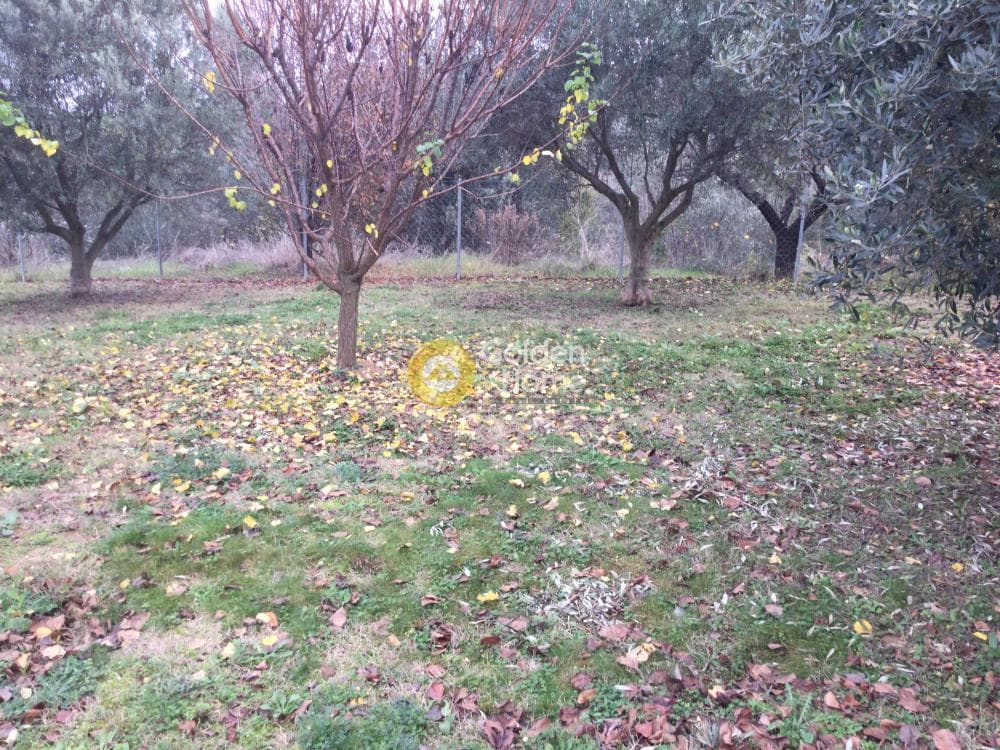 Μονοκατοικία στην Πλαγιάρι, Μίκρα — Φωτογραφία 6 από 18