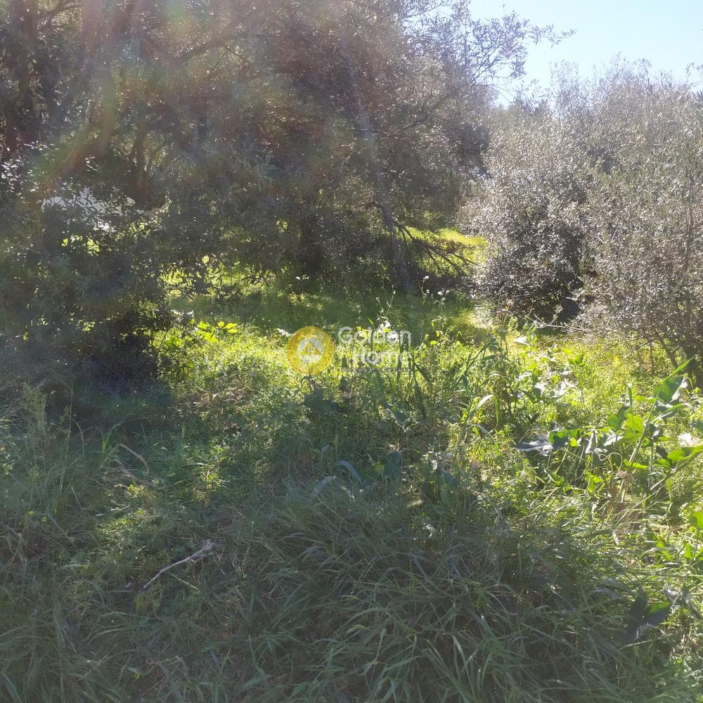 Οικόπεδο στην Ανάληψη, Γούβες — Φωτογραφία 1 από 8