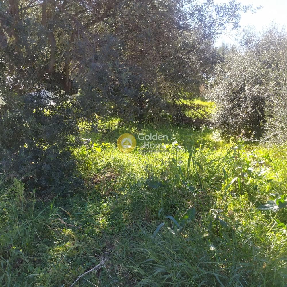 Οικόπεδο στην Ανάληψη, Γούβες — Φωτογραφία 6 από 8