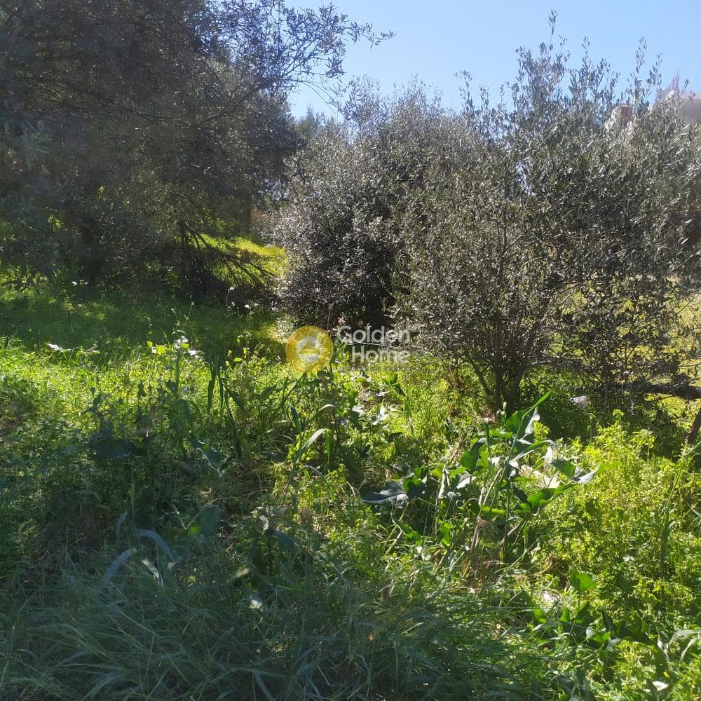 Οικόπεδο στην Ανάληψη, Γούβες — Φωτογραφία 4 από 8