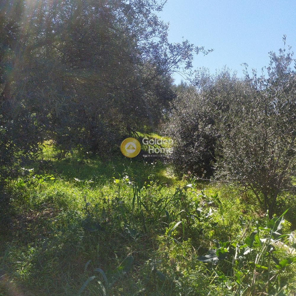 Οικόπεδο στην Ανάληψη, Γούβες — Φωτογραφία 8 από 8