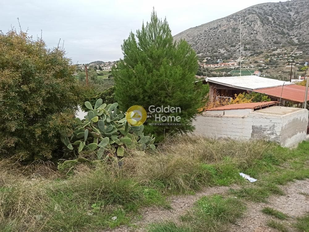 Building Plot in Giala, Salamina — Photo 2 of 3