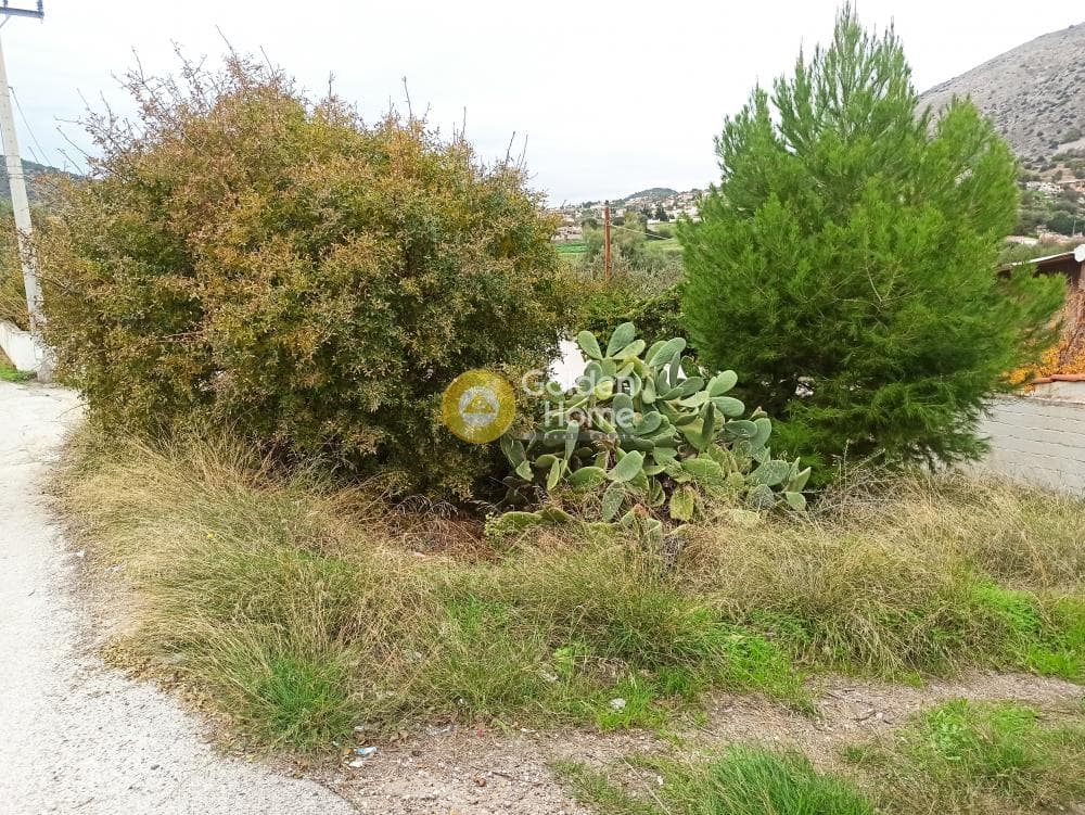 Building Plot in Giala, Salamina — Photo 3 of 3