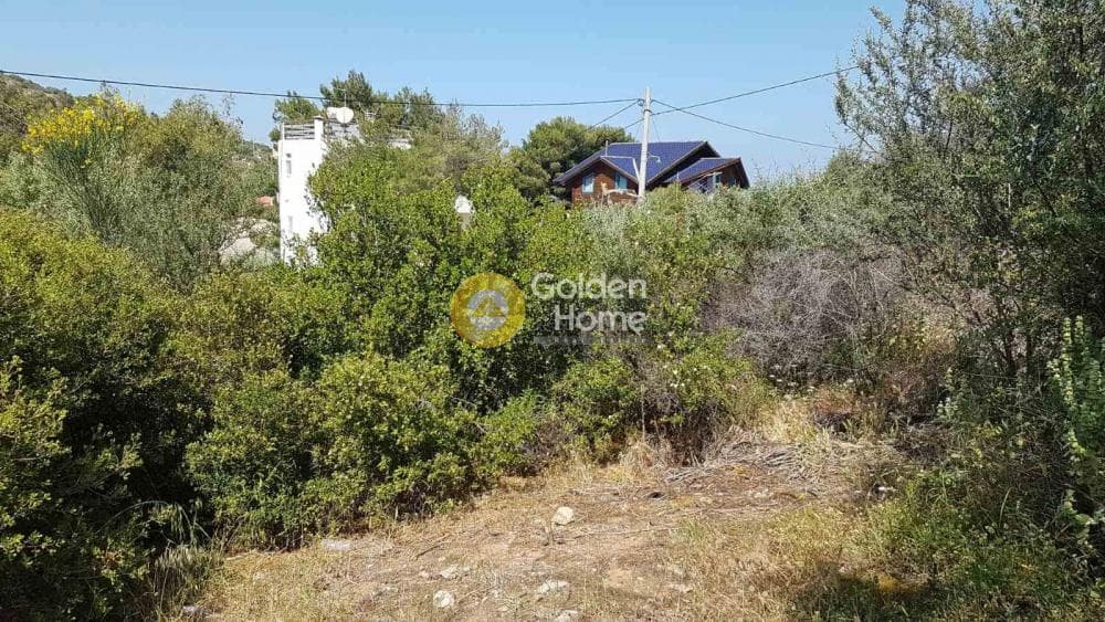 Οικόπεδο στην Βορινέζα, Αρτέμιδα (Λούτσα) — Φωτογραφία 3 από 3