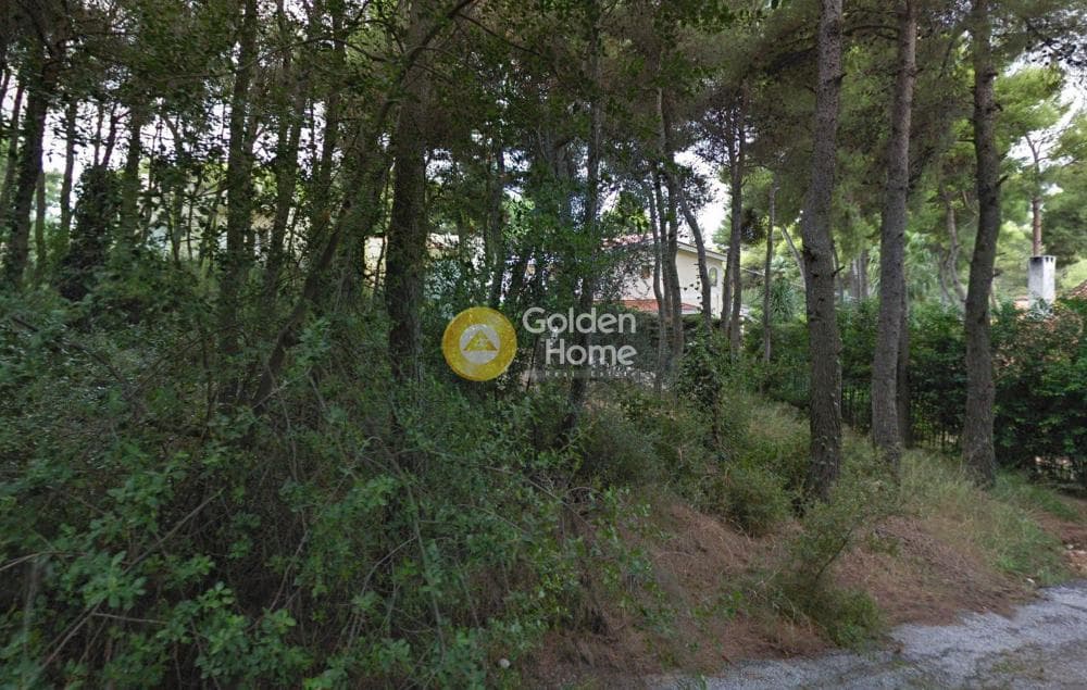 Building Plot in Kapitenia, Agios Stefanos — Photo 3 of 3