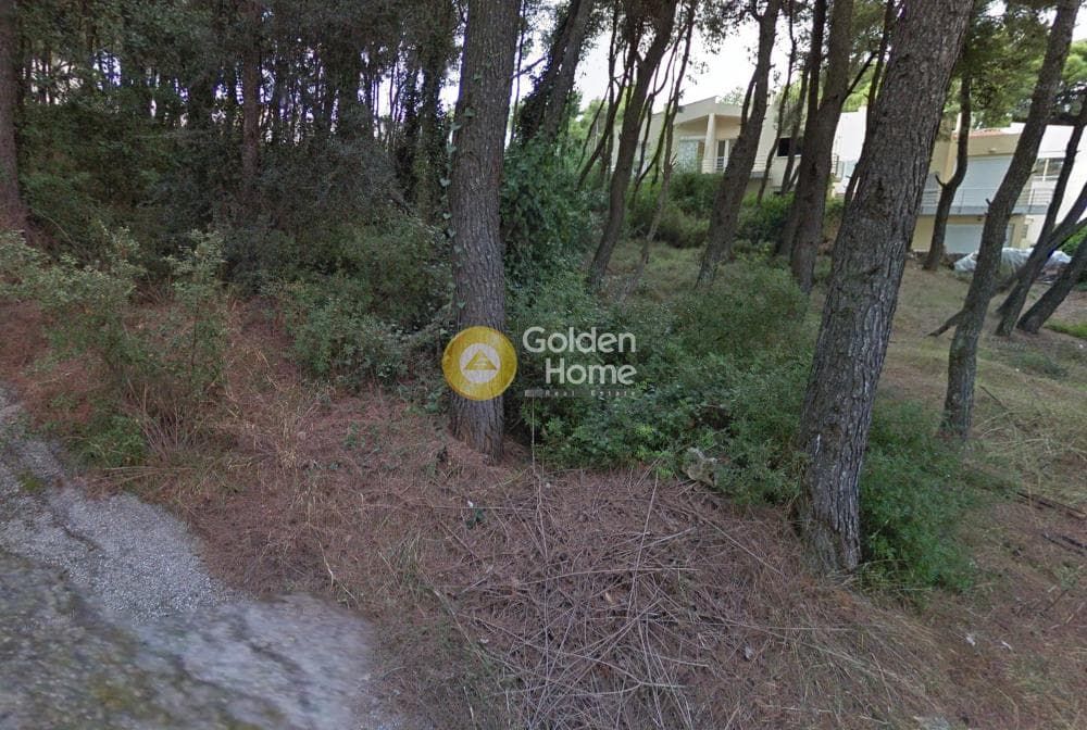 Building Plot in Kapitenia, Agios Stefanos — Photo 2 of 3