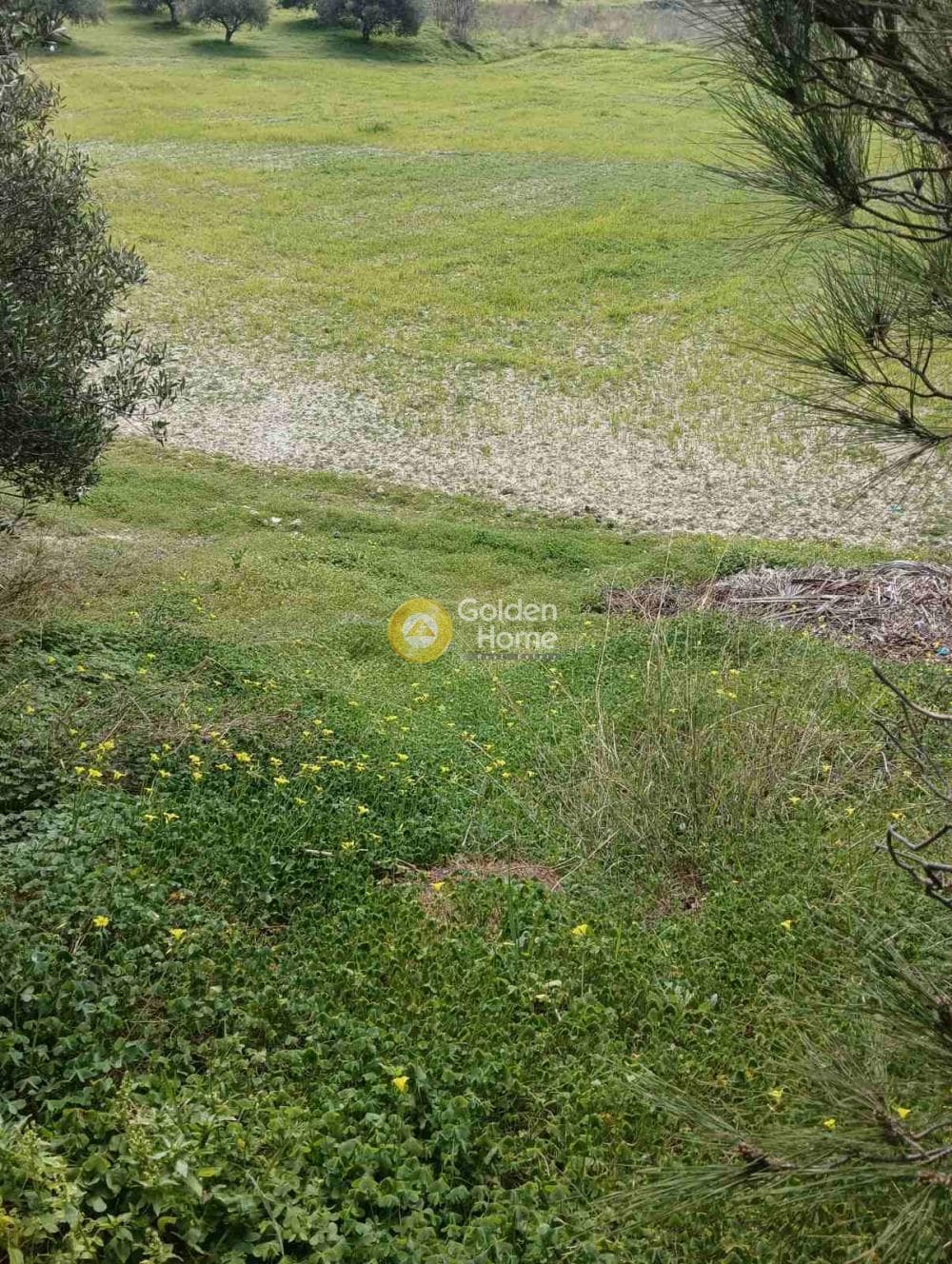 Building Plot in Vasileies, Archanes — Photo 5 of 6