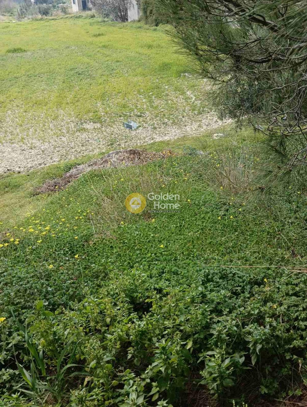 Building Plot in Vasileies, Archanes — Photo 6 of 6