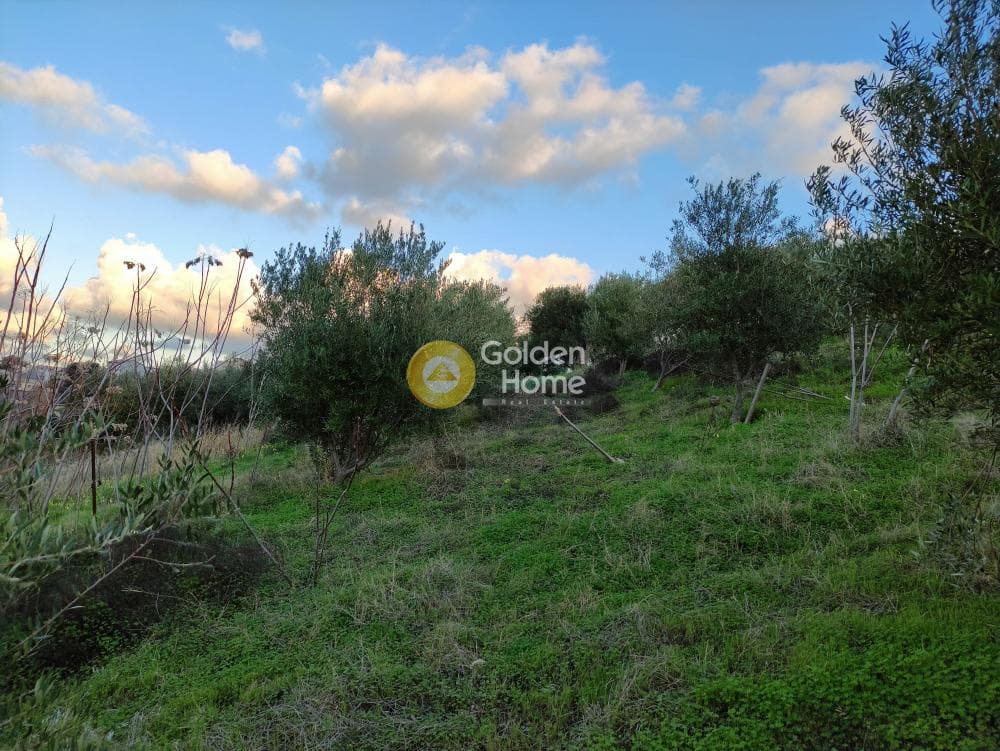 Οικόπεδο στην Βούτες, Τέμενος — Φωτογραφία 5 από 7