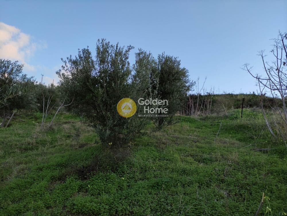 Οικόπεδο στην Βούτες, Τέμενος — Φωτογραφία 6 από 7