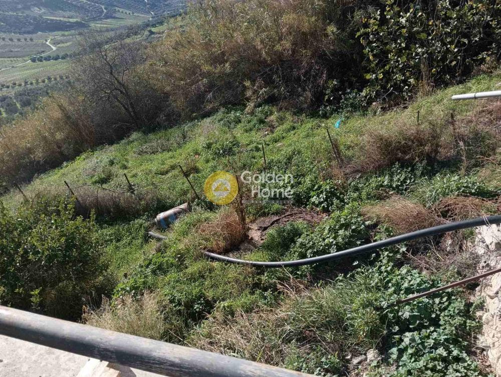 Οικόπεδο στην Δαφνές, Τετραχώρι — Φωτογραφία 2 από 3
