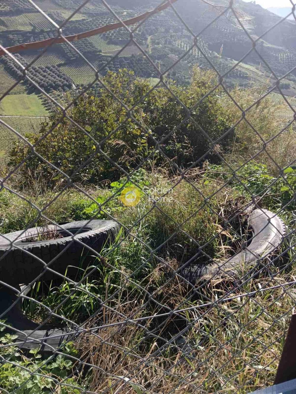 Οικόπεδο στην Δαφνές, Τετραχώρι — Φωτογραφία 1 από 3