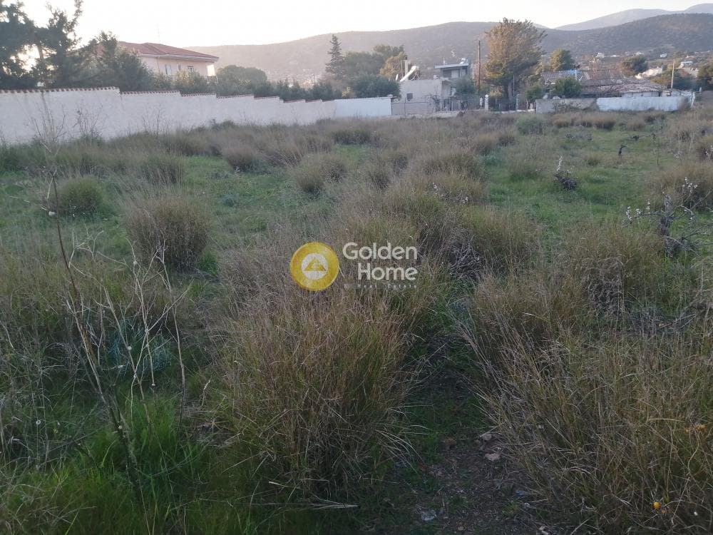 Building Plot in Agia Marina, Koropi — Photo 5 of 11