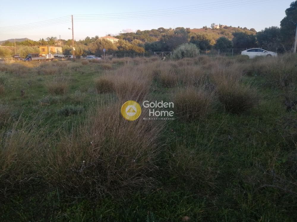 Building Plot in Agia Marina, Koropi — Photo 8 of 11