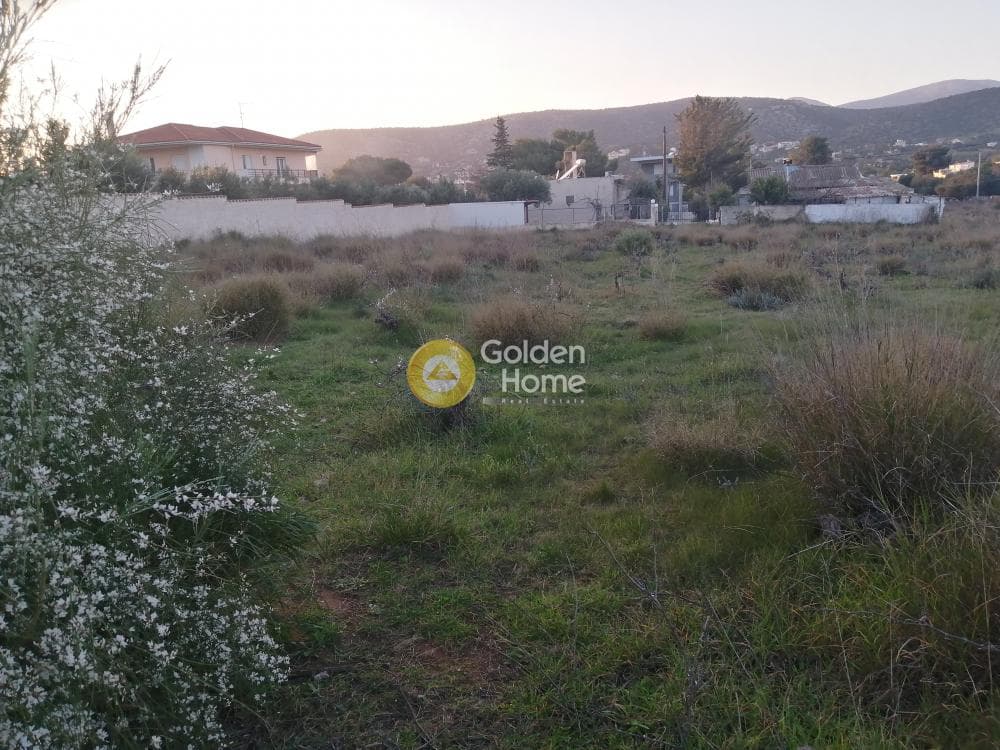 Building Plot in Agia Marina, Koropi — Photo 3 of 11