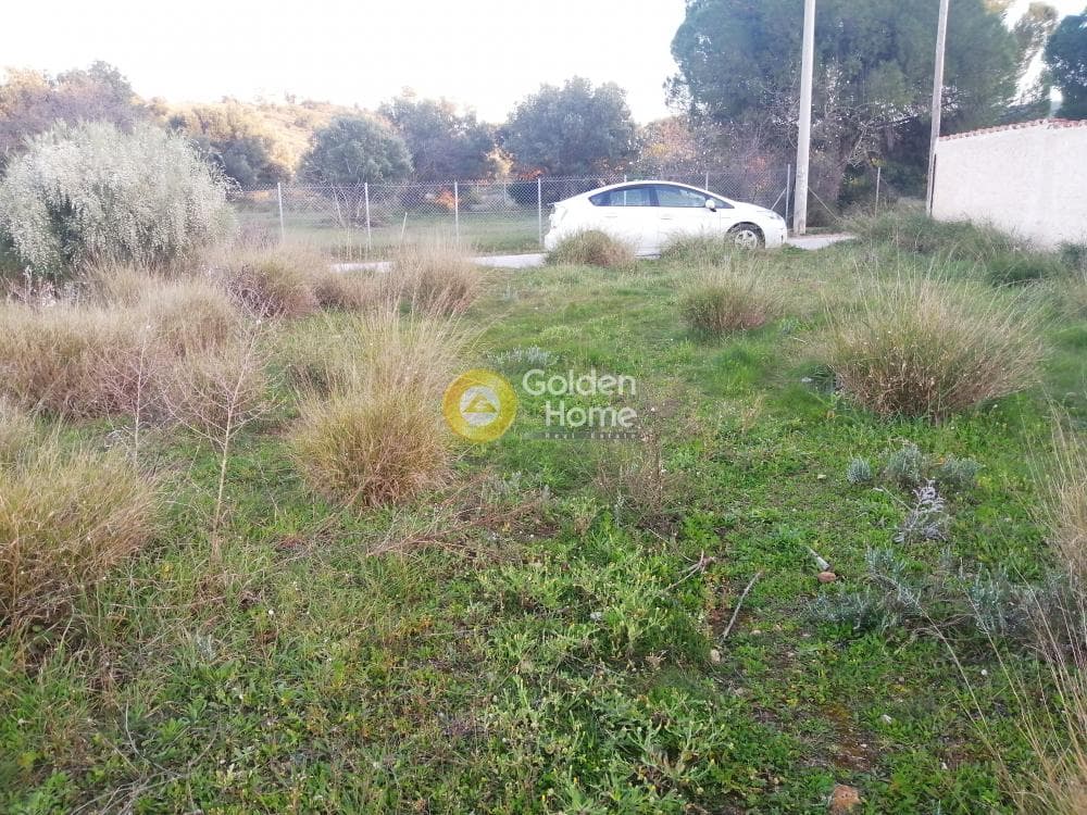 Building Plot in Agia Marina, Koropi — Photo 7 of 11