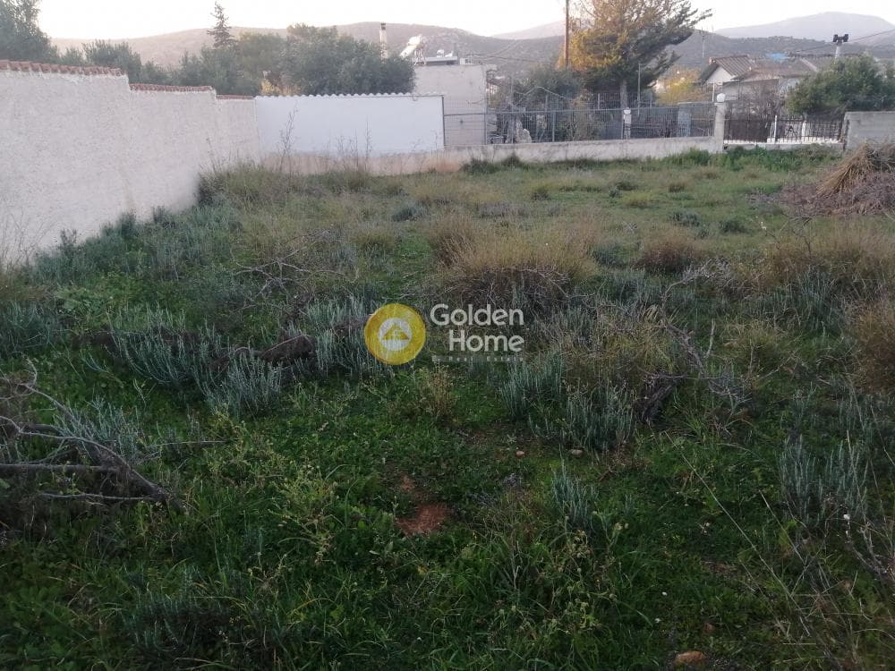 Building Plot in Agia Marina, Koropi — Photo 2 of 11