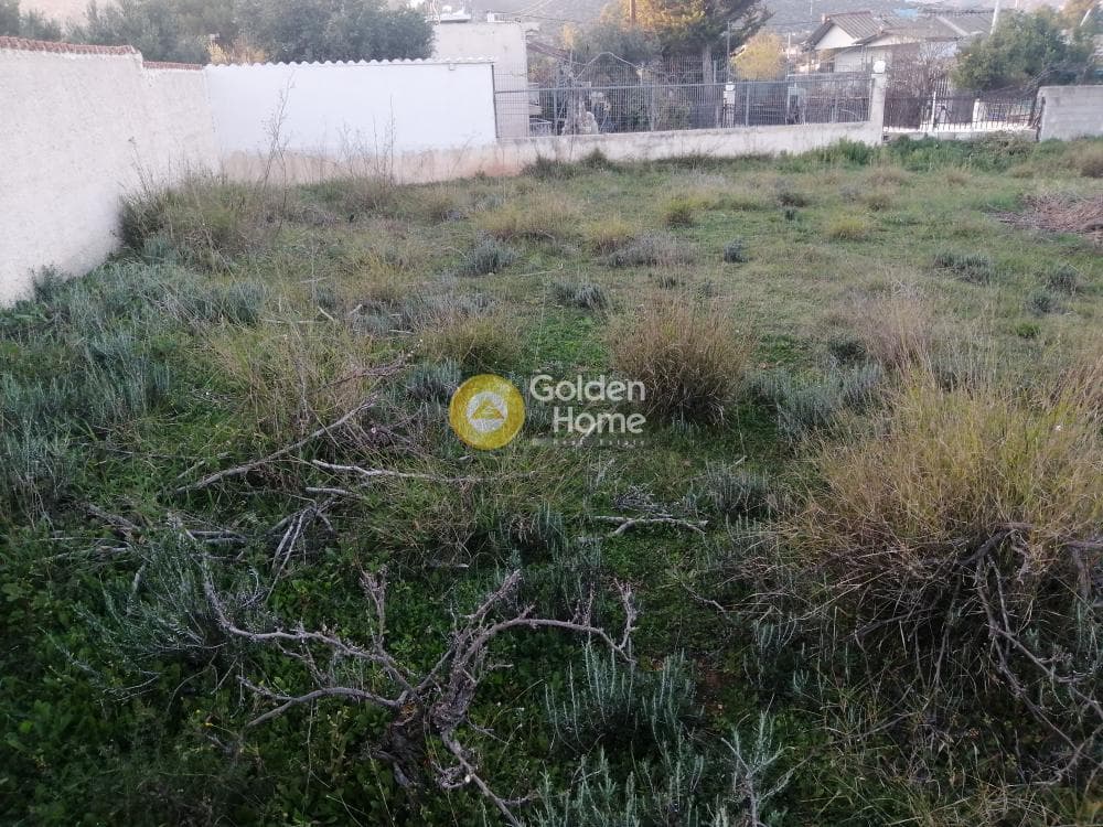 Building Plot in Agia Marina, Koropi — Photo 9 of 11