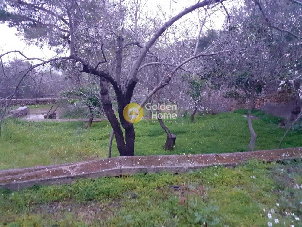 Μονοκατοικία στην Κέντρο, Γλυκά Νερά — Φωτογραφία 17 από 18