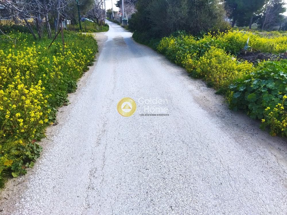 Building Plot in Karouzi, Pallini — Photo 2 of 2