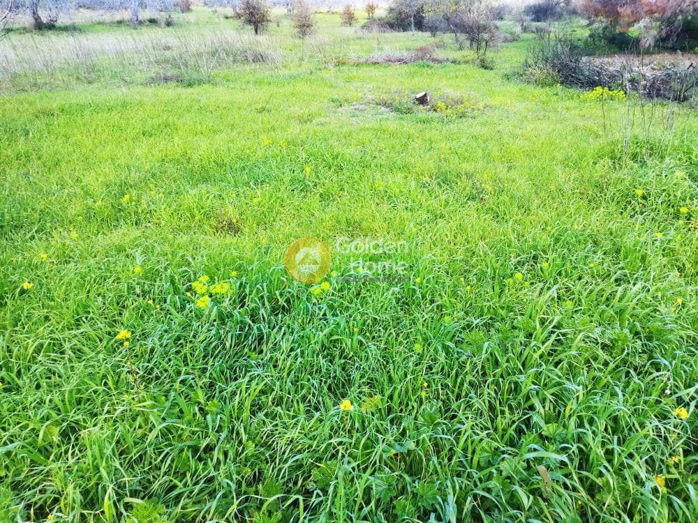 Building Plot in Karouzi, Pallini — Photo 1 of 2