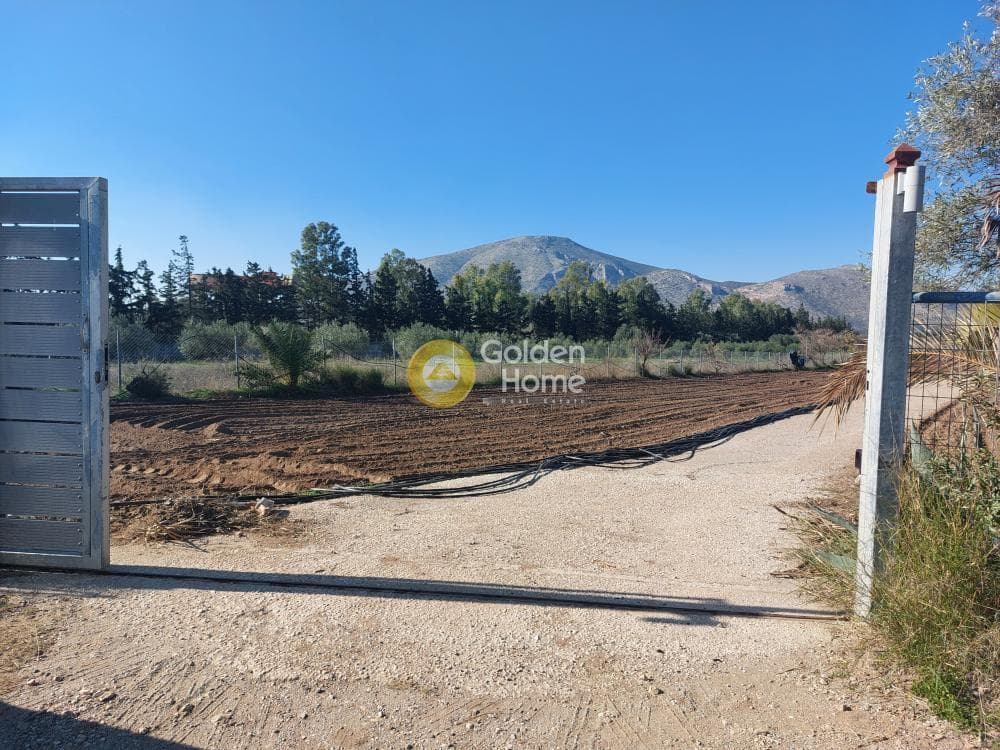 Parcel in ATE, Anavissos — Photo 2 of 7