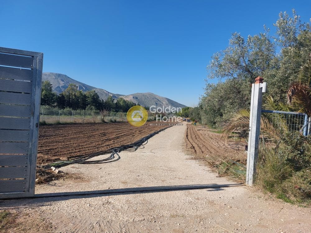 Parcel in ATE, Anavissos — Photo 1 of 7