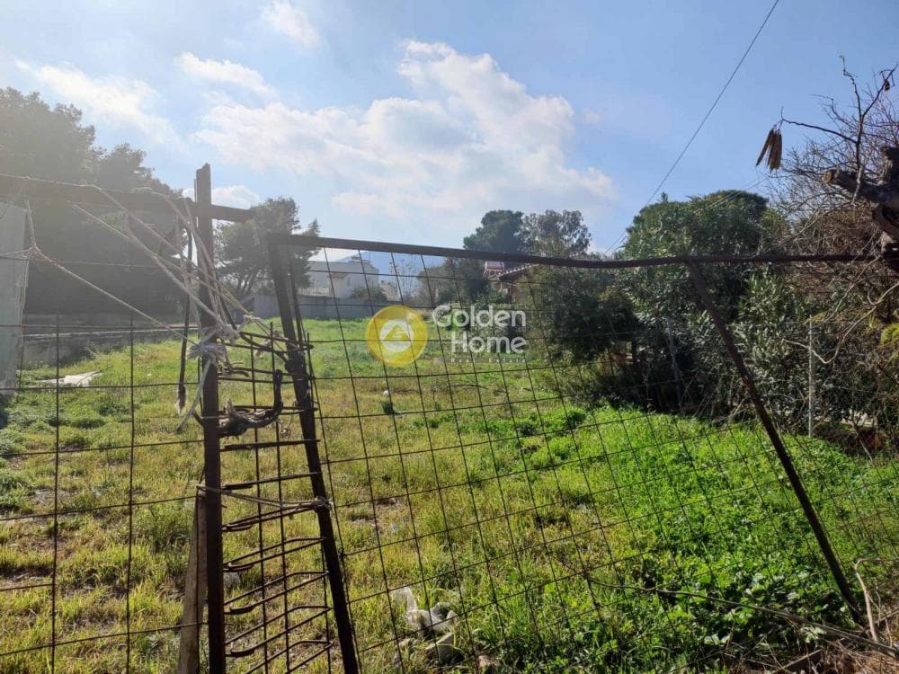 Οικόπεδο στην Άγιος Μηνάς, Αρτέμιδα (Λούτσα) — Φωτογραφία 15 από 15