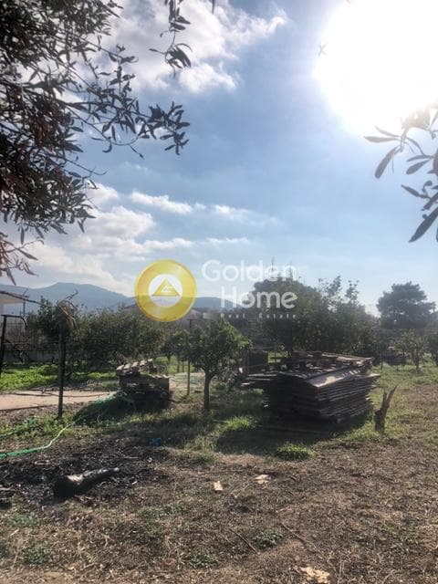 Building Plot in Kalivia, Kalivia Thorikou — Photo 2 of 11