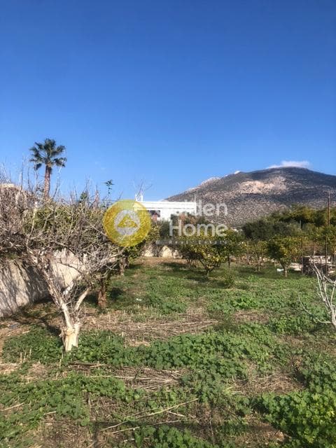 Building Plot in Kalivia, Kalivia Thorikou — Photo 7 of 11