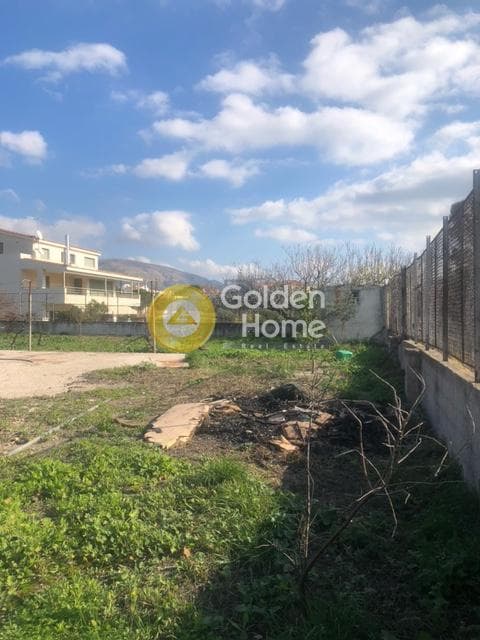 Building Plot in Kalivia, Kalivia Thorikou — Photo 6 of 11
