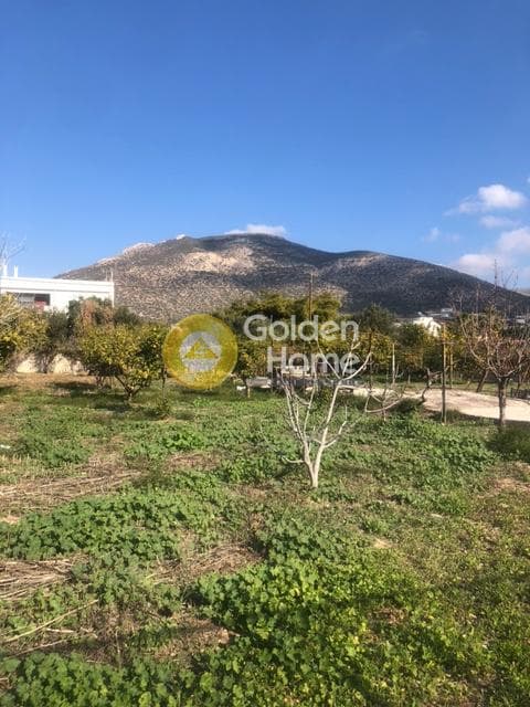Building Plot in Kalivia, Kalivia Thorikou — Photo 9 of 11