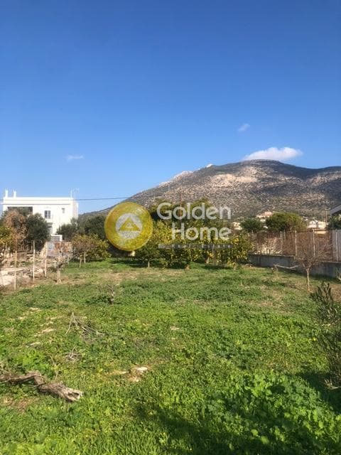 Building Plot in Kalivia, Kalivia Thorikou — Photo 11 of 11