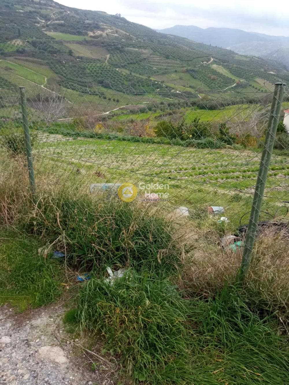 Οικόπεδο στην Δαφνές, Τετραχώρι — Φωτογραφία 2 από 4